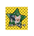 てんちゃんスタンプ2018（個別スタンプ：4）