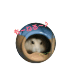 ハムスターのけんご君（個別スタンプ：8）