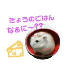 ハムスターのけんご君（個別スタンプ：18）
