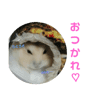 ハムスターのけんご君（個別スタンプ：24）