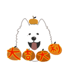 ハッピーサモエドイヤー！（個別スタンプ：1）