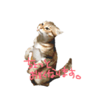 さだぴょんの日常（個別スタンプ：1）