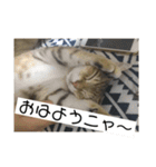 さだぴょんの日常（個別スタンプ：16）