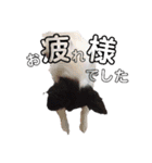 音と楽⑤(敬語)（個別スタンプ：5）
