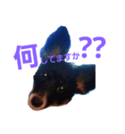 音と楽⑤(敬語)（個別スタンプ：6）