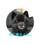 黒兵衛くんスタンプ3（個別スタンプ：8）