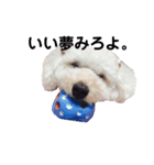 愛犬くまの絵文字（個別スタンプ：13）