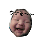 ☆かけるんtoあたるん☆（個別スタンプ：2）