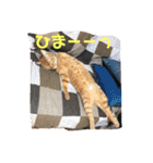 ももたろちゃん。（個別スタンプ：3）