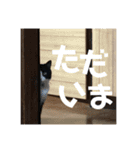 ももたろちゃん。（個別スタンプ：12）