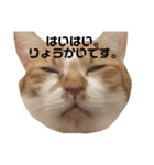 こころちゃんのすたんぷ（個別スタンプ：2）