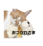 こころちゃんのすたんぷ（個別スタンプ：9）