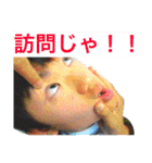 カバちゃんのスタンプ（個別スタンプ：15）