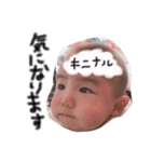 蓮ちゃんスタンプ2（個別スタンプ：30）