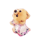 choco*.（個別スタンプ：2）