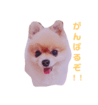 choco*.（個別スタンプ：8）