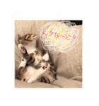 あんずくんその一（個別スタンプ：3）