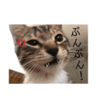 あんずくんその一（個別スタンプ：4）