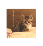 あんずくんその一（個別スタンプ：14）