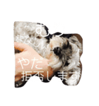 ゆずたん。（個別スタンプ：3）