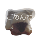 ゆずたん。（個別スタンプ：7）