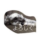 ゆずたん。（個別スタンプ：8）