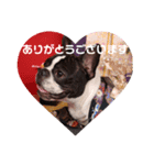 フレブル青ちゃん～ご挨拶～（個別スタンプ：4）
