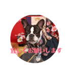 フレブル青ちゃん～ご挨拶～（個別スタンプ：5）
