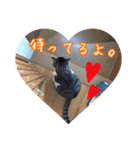 うちのネコのスタンプ（華）（個別スタンプ：18）