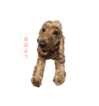 ビビ君 2（個別スタンプ：1）