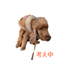 ビビ君 2（個別スタンプ：4）