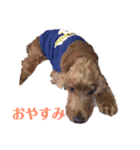 ビビ君 2（個別スタンプ：5）