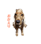 ビビ君 2（個別スタンプ：6）
