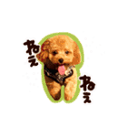 トイプードル  Lion  two（個別スタンプ：11）