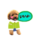 トイプードル  Lion  two（個別スタンプ：15）
