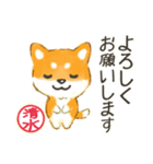 清水さん用 柴犬・チワワ・トイプードル（個別スタンプ：5）
