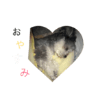 マルチワうるたん2（個別スタンプ：2）