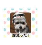 マルチワうるたん2（個別スタンプ：4）