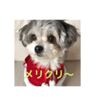 マルチワうるたん2（個別スタンプ：7）