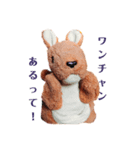 かんがるーくんの問題（個別スタンプ：3）