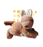 かんがるーくんの問題（個別スタンプ：6）