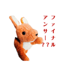 かんがるーくんの問題（個別スタンプ：8）