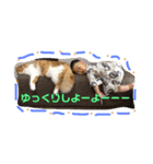 ちょったん  #1（個別スタンプ：5）
