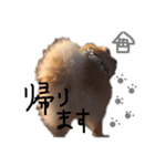 まりりんライフ（個別スタンプ：4）