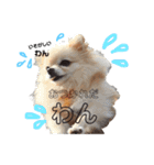 まりりんライフ（個別スタンプ：5）