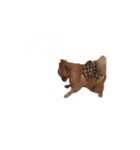 まりりんライフ（個別スタンプ：10）