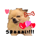まりりんライフ（個別スタンプ：11）