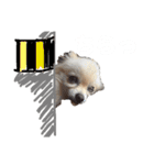 まりりんライフ（個別スタンプ：13）