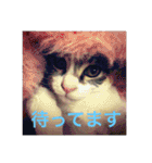美少女猫の日常挨拶スタンプ（個別スタンプ：9）