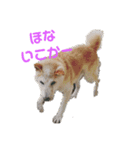 秋男と定春（個別スタンプ：1）